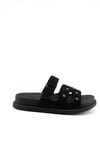 Vittoria Siyah Süet Kadın Terlik 