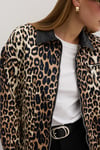 M28-5785-506MarkasızMONTKadın Leopar Desenli Yaka Garnili Mont LEOPAR DESENLİ