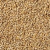 5 kg Pilsen maltı
