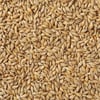 5 kg Pilsen maltı
