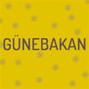 Günebakan Blonde Ale Taze Mayşe