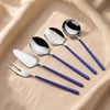 Allegra Silver Blue 5 Parça Sos Kepçe Seti