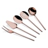 Carre Rose Gold 5 Parça Sos Kepçe Seti