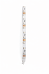 5 Metre CATA CT 4545 İç Mekan 12V 10 Çipli Şerit Led RGBCATA CT 4545 10 Çipli İç Mekan Şerit LED 12V RGB Renk Değiştiren (5 Metre) - Çimen ElektrikŞerit ve Hortum LedlerCATACT-4545-5-16659