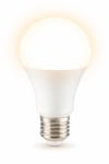 CATA CT 4277 Led Ampul 9W 3200K Gün Işığı E27 DuyCATA CT 4277 Led Ampul 9W 3200K Gün Işığı E27 | Enerji Verimli Aydınlatma | cimenelektrik.comLed AmpullerCATACT-4277G-12104