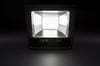 CT 4619 Cata 70 W Gold Led Projektör Beyaz Işık 6400KLed ProjektörlerCATACT-4619-12211