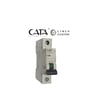 CT 9181 CATA 2 A VEOTOMATOtomatik SigortalarCATACT-9181-21141