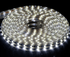 24 METRE CATA CT 4549 3 Çip Dış Mekan Şerit Led Beyaz 220VŞerit ve Hortum LedlerCATACT-4549B-24-30427