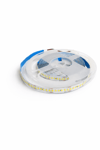 5 Metre CATA CT 4539 İç Mekan 24V 240 Ledli Şerit Led 6400K Beyaz Işık5 Metre CATA CT 4539 24V 240 Ledli 6400K Beyaz Şerit Led – En Uygun Fiyat | Stoktan Teslim cimenelektrik.comŞerit ve Hortum LedlerCATACT-4539B-5-31372