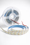 5 Metre CATA CT 4538 İç Mekan 240 Ledli Şerit Led 12V Amber Işık5 Metre CATA CT 4538 240 Çipli Amber Şerit Led – En Uygun Fiyat | Stoktan Teslim cimenelektrik.comŞerit ve Hortum LedlerCATACT-4538A-5-26875