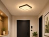 NOAS YL15 2401 S Siyah Kasa Sıva Üstü Kare 24W Led Spot 3200K Gün IşığıNOAS YL15 2401 S Siyah Kasa Sıva Üstü Kare 24W LED Spot 3200K Gün Işığı | CimenElektrik.comSıva Üstü Led SpotlarNOASYL15-2401-S-30107
