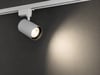 NOAS YL29 3007 Paris 30W Beyaz Kasa Ray Spot 4000KNOAS YL29 3007 Paris 30W Ray Spot 4000K - Şık ve Enerji Verimli AydınlatmaRay Spotlar ve RaylarNOASYL29-3007-29427