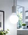 NOAS YL95 0115 Glop Led Ampul 15W 6500K Beyaz Işık E27 DuyNOAS YL95 0115 Glop Led Ampul 15W 6500K Beyaz Işık | Yüksek Işık VerimiLed AmpullerNOASYL95-0115-30652