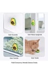 Avokado Kedi Çimi Topu Avokado Kedi Nanesi Oyuncağı