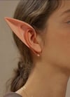 Elf Kulağı