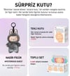 Pop Mart Labubu Biginto Energy Sürpriz Kutu Serisi