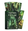 Regin Ogham's Fortune Tarot Kartları