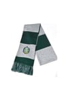 Slytherin Atkı