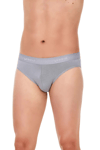 Yıldız Erkek Modal Gri Slip - 67