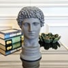 Hermes Klasik Gri Dekorasyon