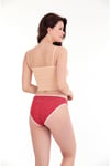 Sensu Kadın Günlük Pamuklu Slip Karışık Renkler 5 li Külot Set KTS1076-5 1078