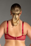 New Bra 8042 Kadın Dantelli Desteksiz Sütyen