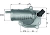 TERMOSTAT 203 200/220CDİ  611