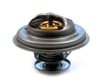 TERMOSTAT E34-36-38-39   M51 1991-01