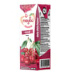 MEYSU 200 ML MEYVELI ICECEK VISNE  *27