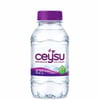 CEYSU 200 ML DOGAL KAYNAK SUYU KL:1*24