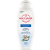 HACISAKIR SAM 500 ML H.CEVIZ NORMAL 2/1 