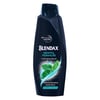 Blendax Mentöllü Şampuan 500 ml Erkekler için