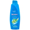 Blendax Yoğun Nemlendirici Aloe Vera  Özlü Şampuan 500ml