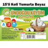 GÜNDOGDU YUMURTA CIFTLIK L BOY 15 LI BZ