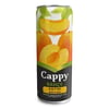 CAPPY 330 ML M.SUYU KAYISI TNK