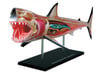 4D VISION GREAT WHITE SHARK ANATOMY MODEL