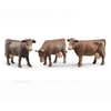 BR02308-İnek