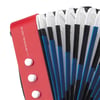 Conservatory Acordeon / Akordiyon