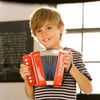 Conservatory Acordeon / Akordiyon