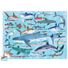 Crocodile Creek Puzzle - 100 Parça - Köpek Balıkları