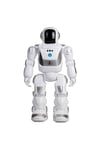 Program A Bot X