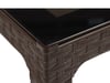 ARIZONA 80X140 MASA ALBERTA SANDALYE RATTAN PLASTİK MASA TAKIMI KAHVE