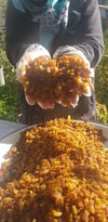 ÇEKİRDEKSİZ KURU ÜZÜM   (1 KG)