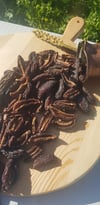 FREZE ERİK KURUSU (500) gr