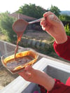 SUSAM EZMESİ (500 GR)