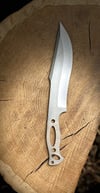 Orman Palası N690 - 04