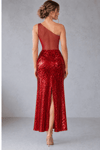 One Shoulder Lycra Sequin and Tulle Tango Dress 