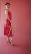 Tango Dress with BodySuit Abril