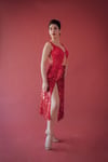 Tango Dress with BodySuit Abril