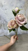 3 DALLI  ŞAKAYIK 75 CM
